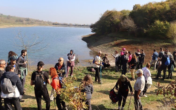 Kocaeli İzmit’te ‘Bizim Köy’de Güvercinlik keşfedildi Kocaeli İzmit’te ‘Bizim Köy’de Güvercinlik keşfedildi