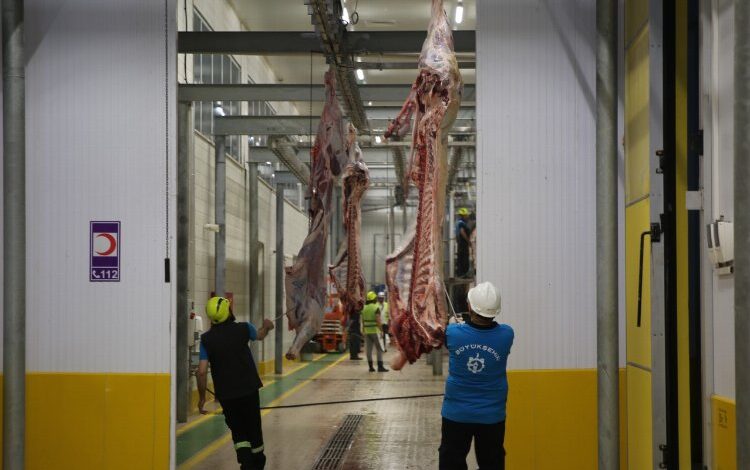 Modern kesimhanede tekbirlerle kesim yapılıyor