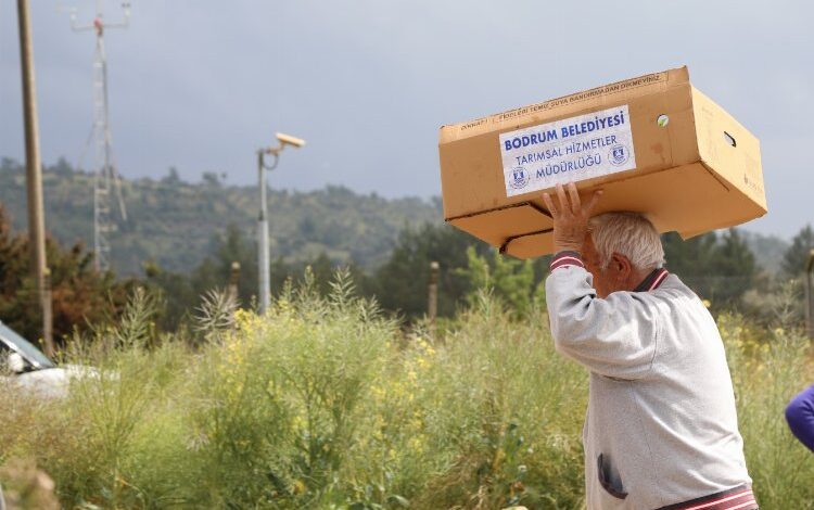 Bodrum’da 350 bin fide üreticiyle buluştu Bodrum’da 350 bin fide üreticiyle buluştu