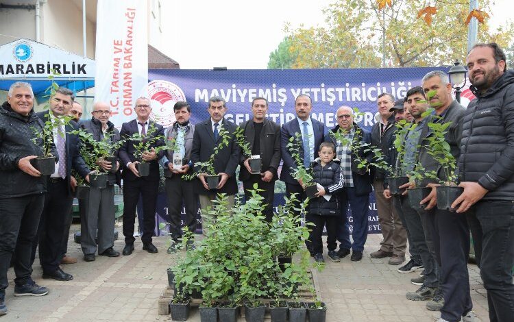 ‘Yeşil Bursa’ maviyemişte de iddialı