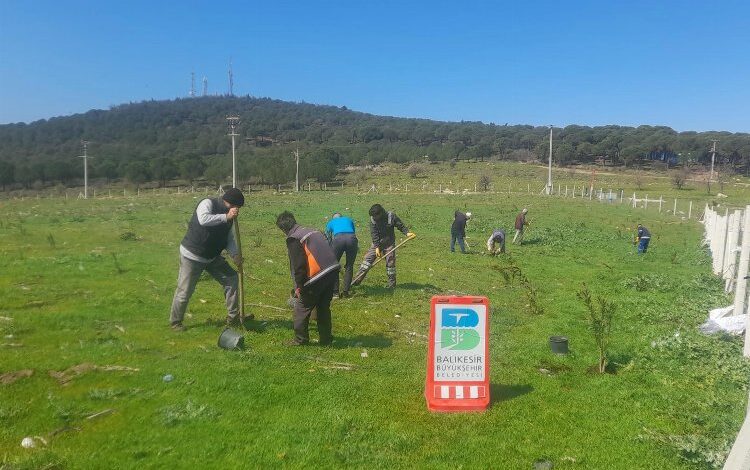 Çöplerin yerini zakkum çiçekleri alıyor