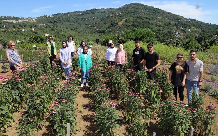 Ordu tarımda ilklere imza atıyor