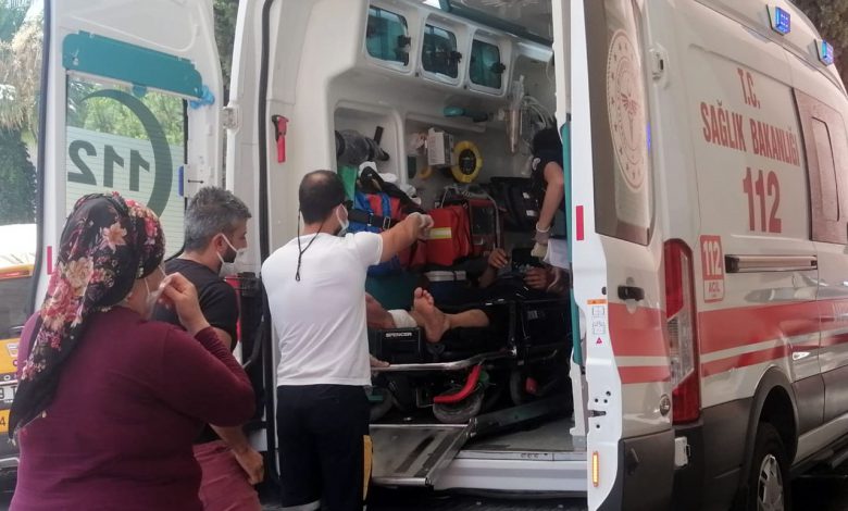 Aydın’da acemi kasaplar hastanelik oldu Aydın’da acemi kasaplar hastanelik oldu