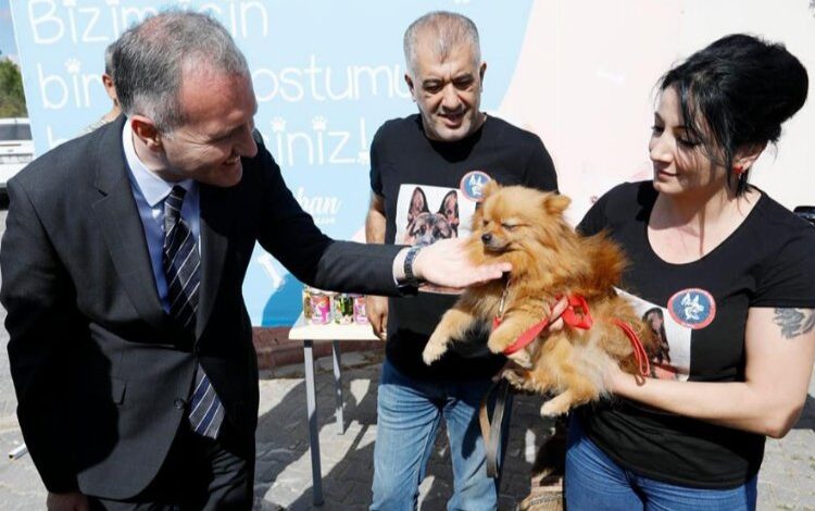 Bursa İnegöl 6 ayda 3 bine yakın hayvana şifa oldu