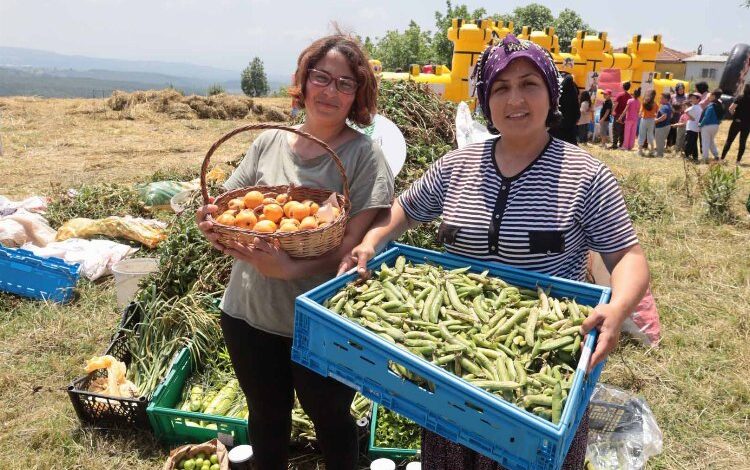 İzmit Dağköy’de araka hasat şenliği