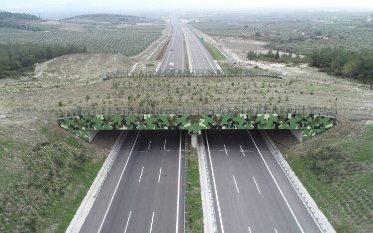 ‘Ekolojik Köprü’ler yaygınlaşıyor ‘Ekolojik Köprü’ler yaygınlaşıyor