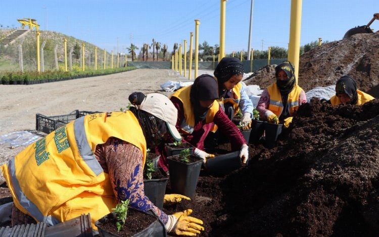 Yılda 5 milyondan fazla çiçek üretiyorlar Yılda 5 milyondan fazla çiçek üretiyorlar