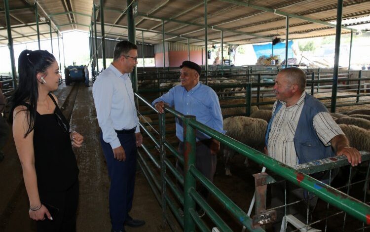 Manisa’da canlı hayvan satış noktalarında ilaçlama