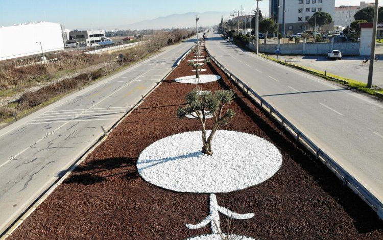 Manisa’da susuz peyzajlar kaynakları koruyor