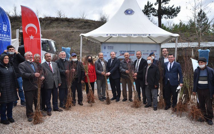 Bursa’nın dağ ilçeleri meyvecilikle kalkınacak Bursa’nın dağ ilçeleri meyvecilikle kalkınacak