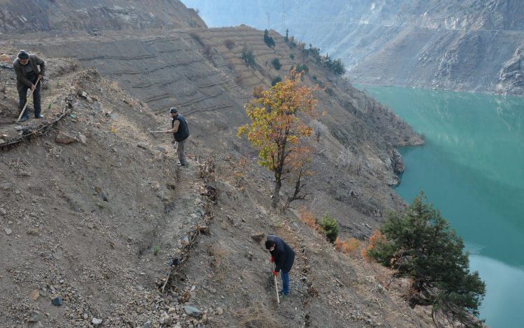 Erozyondan bir milyon 100 bin hektarlık alan kurtarıldı Erozyondan bir milyon 100 bin hektarlık alan kurtarıldı
