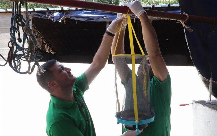 Kocaeli’de vektör mücadelesinde tuzak desteği Kocaeli’de vektör mücadelesinde tuzak desteği