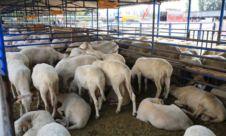 Bursa Nilüfer’de kurban kesim yerleri belirlendi