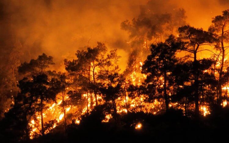 Turizm cenneti alevler içinde kaldı Turizm cenneti alevler içinde kaldı