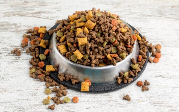 Türkiye dünyanın mama ihtiyacını karşılıyor