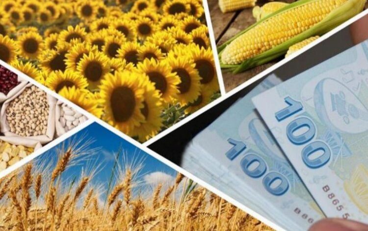 1 milyar 81 milyon TL tarımsal destek hesaplarda 1 milyar 81 milyon TL tarımsal destek hesaplarda