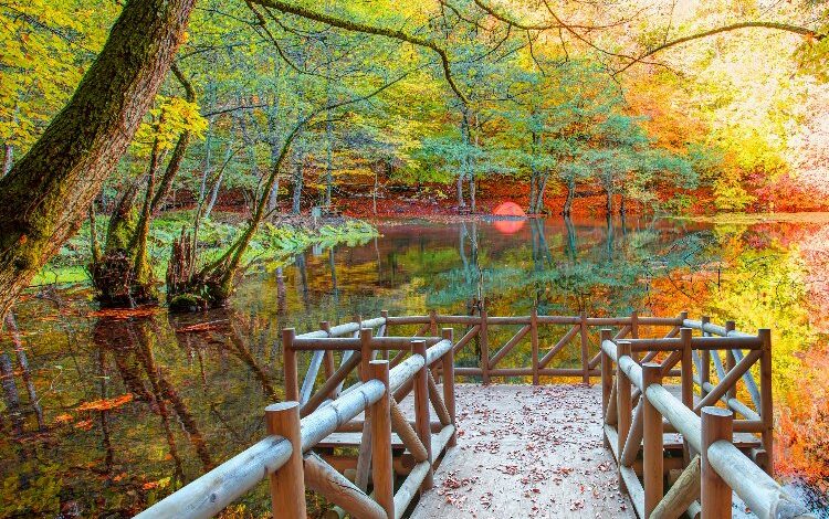 İşte en güzel sonbaharı yansıtabileceğiniz yerler İşte en güzel sonbaharı yansıtabileceğiniz yerler