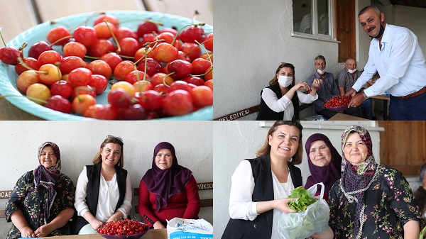 Kulfallı kirazını ve üzümünü İzmit Belediyesi ulusal pazara taşıyacak