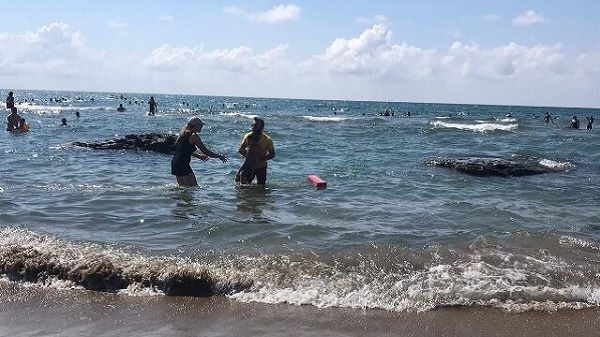 KOSKEM ekibi 188 kişiyi boğulmaktan kurtardı