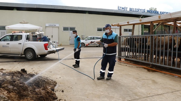 Kurban satış yerleri ilçelerde periyodik olarak ilaçlanıyor