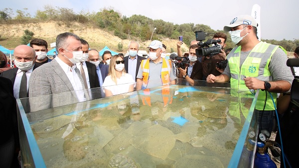 Darıca sahilinden Balıklar denize salındı