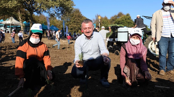 Türkiye’ye örnek projeyle 2 milyon biberiye toprakla buluştu