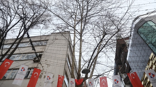 İzmit Belediyesi Fethiye Caddesi’ndeki ağaçları budayacak