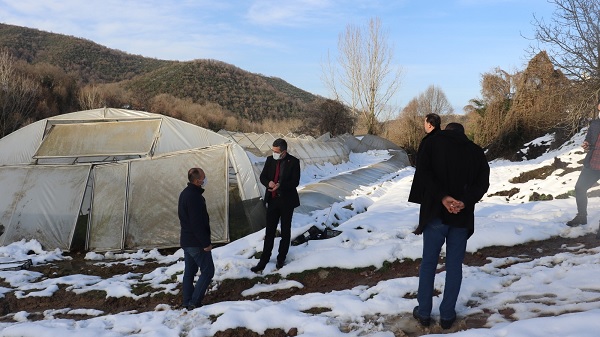 İzmit’te hasar gören seralar yerinde incelendi