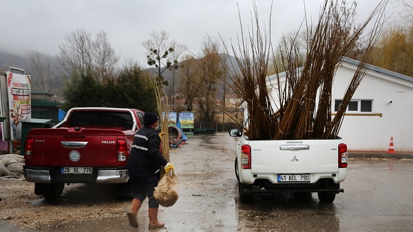 Eskişehir’den İzmit’e 500 adet dut fidanı