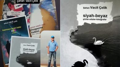 Şahan Vacit Çelik’in Dördüncü Kitabı “Siyah-Beyaz” Şahan Vacit Çelik’in Dördüncü Kitabı “Siyah-Beyaz”