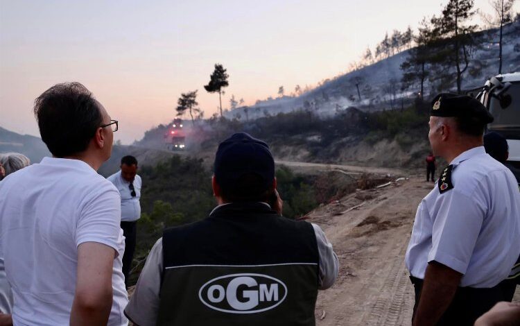 Bilecik Osmaneli’de orman yangını kontrol altında Bilecik Osmaneli’de orman yangını kontrol altında