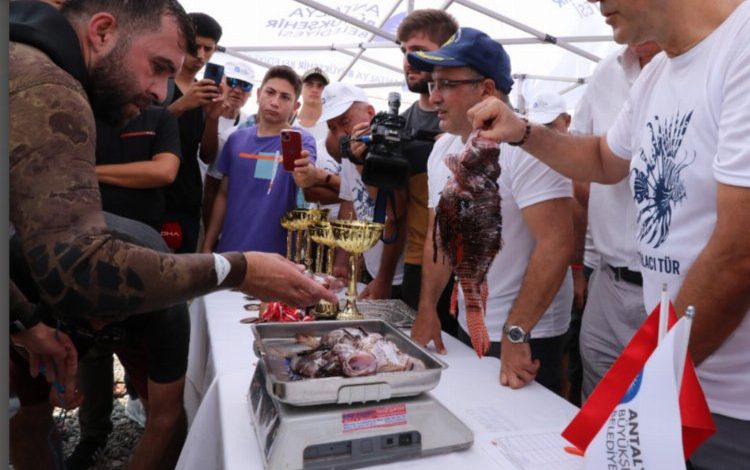 İstilacı aslan balığını avladılar İstilacı aslan balığını avladılar