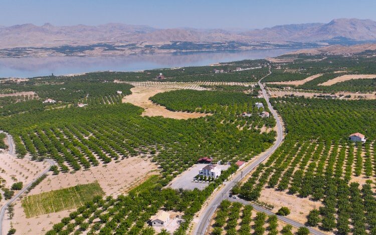 Malatya grup yolunda çalışmalar tam gaz Malatya grup yolunda çalışmalar tam gaz