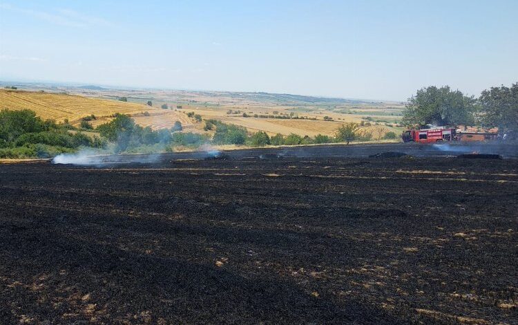 Keşan Altıntaş’ta buğday tarlası küle döndü Keşan Altıntaş’ta buğday tarlası küle döndü
