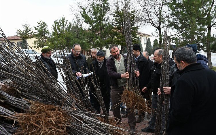 Konya’dan 50 milyon liralık tarımsal destek