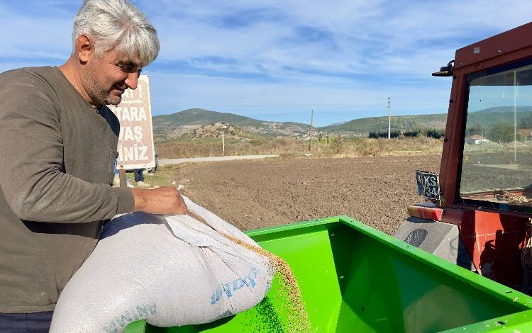 Milas’ta ata tohumları toprakla buluştu Milas’ta ata tohumları toprakla buluştu