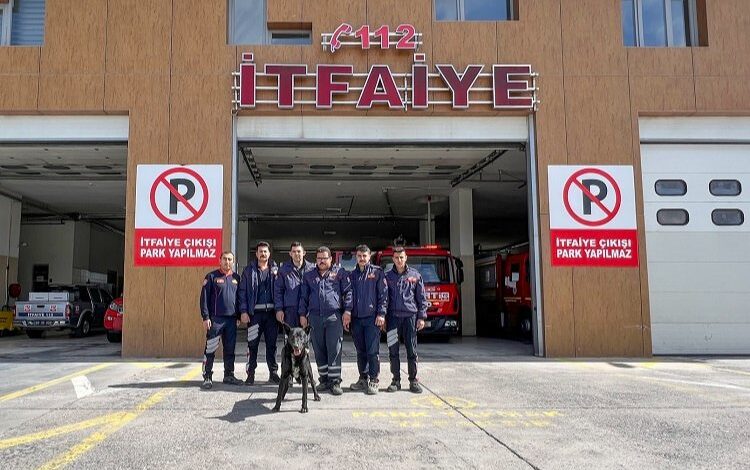 Nevşehir itfaiyesi kurtardıkları sokak köpeğini sahiplendi