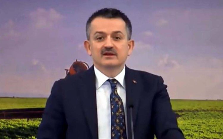 Tarımsal destekler hesaplara yatırılıyor Tarımsal destekler hesaplara yatırılıyor