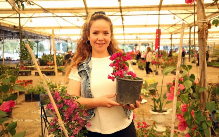 Geleneksel Çiçek Festivali başladı Geleneksel Çiçek Festivali başladı