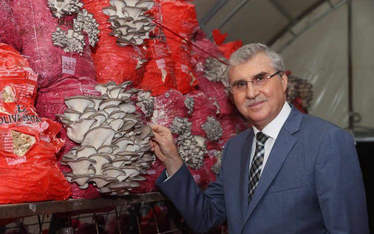 “Sakarya’da Türkiye’nin en kaliteli mantarlarını üreteceğiz” “Sakarya’da Türkiye’nin en kaliteli mantarlarını üreteceğiz”