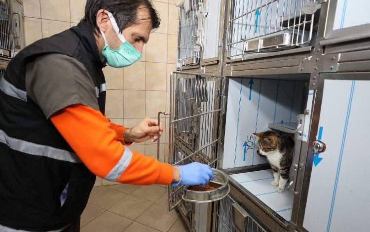 İzmir Gaziemir’de tüm kafesler yenilendi