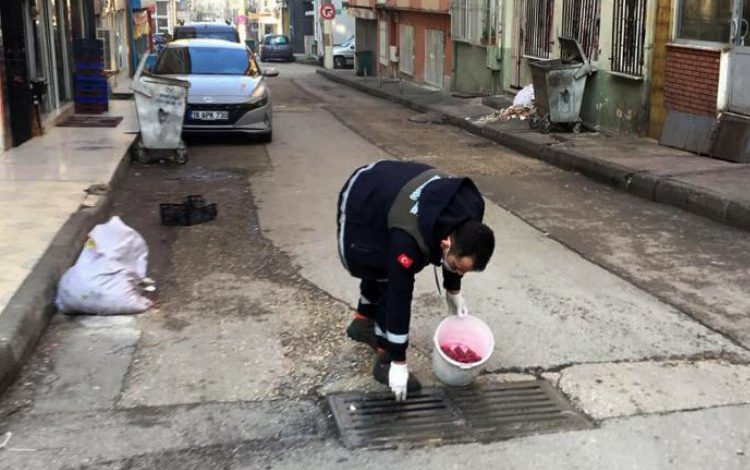 Bursa Osmangazi’de haşerelere karşı ilaçlama