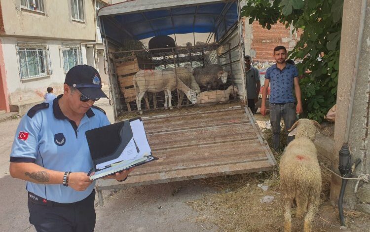 Mahalle arasında kurban satışına izin yok