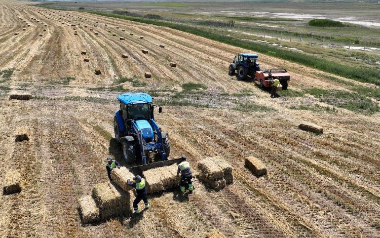 Çiftçiye can suyu gibi destek Çiftçiye can suyu gibi destek
