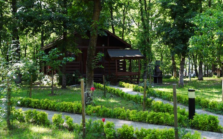 Sakarya’nın oksijen deposuna ziyaretçi akını Sakarya’nın oksijen deposuna ziyaretçi akını