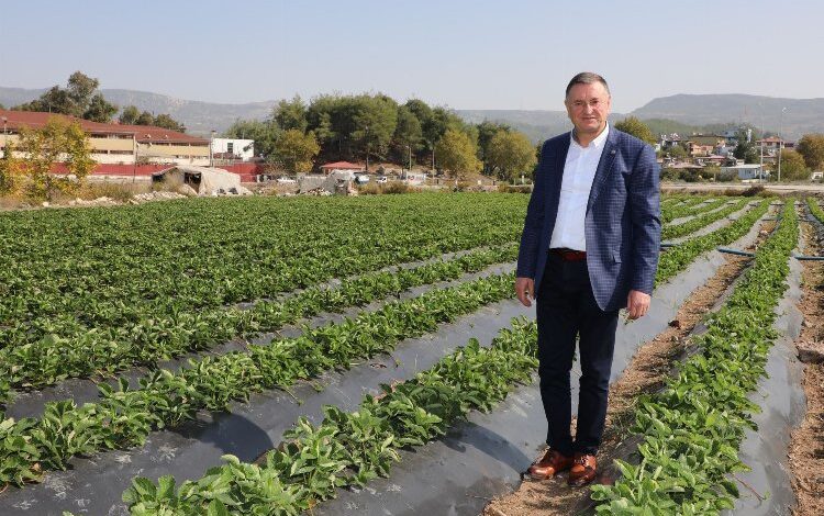 Başkan Savaş: “Hatay’da tüm uğraşımız çiftçimiz toprağını bırakmasın diye” Başkan Savaş: “Hatay’da tüm uğraşımız çiftçimiz toprağını bırakmasın diye”