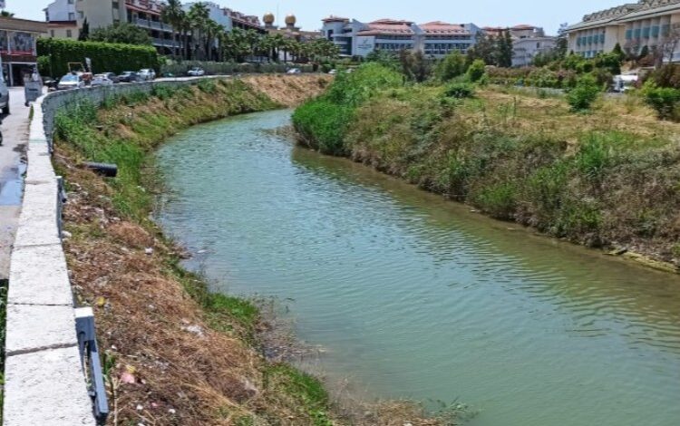 Akdeniz müsilaja karşı tetikte Akdeniz müsilaja karşı tetikte
