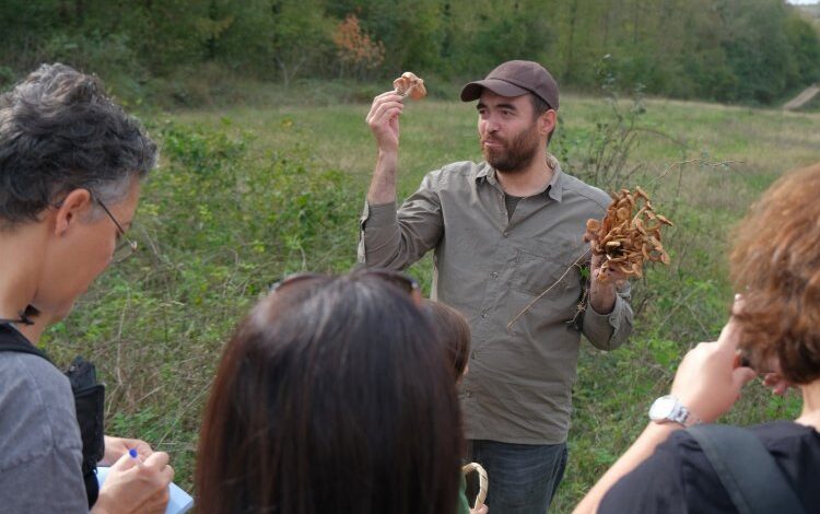 Ormanya’da mantar avı düzenlendi Ormanya’da mantar avı düzenlendi