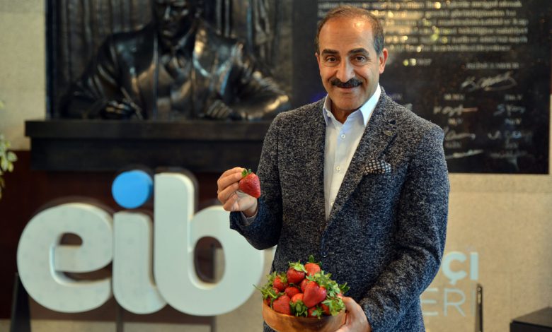 Yaş meyve ve sebze rekora imza attı Yaş meyve ve sebze rekora imza attı