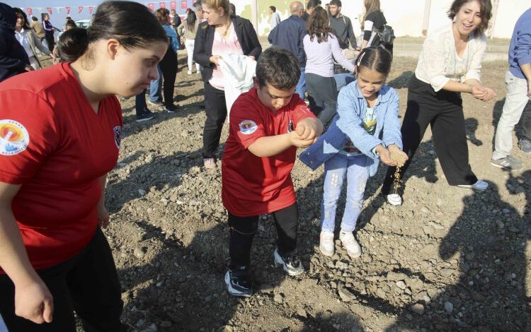 Özel gereksinimi olan çocuklar buğday tohumu ekti